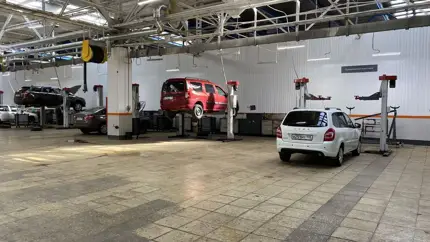 Готовьтесь к ажиотажу: когда автосервисы России захлестнут очереди