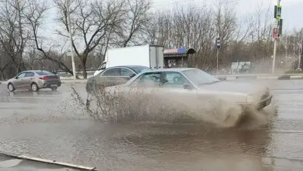 Машину залило водой: что проверить, чтобы не попасть на дорогой ремонт?