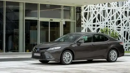 За ними гоняются: названы самые востребованные версии Toyota Camry и Skoda Octavia в РФ