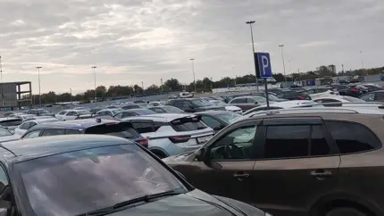 В Башкирии распродадут авто должников по привлекательным ценам