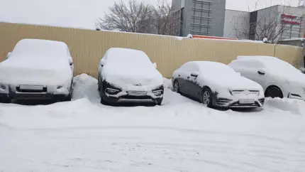 Сколько стоит очистить автомобиль от снега