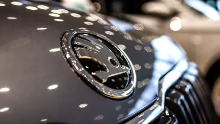 Skoda закрывается: как подразделение немецкого концерна потерпело крах и докатилось до такого