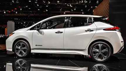 Nissan Leaf – лидер, а Tesla Model 3 – в тройке: названы самые распространенные электрокары в России