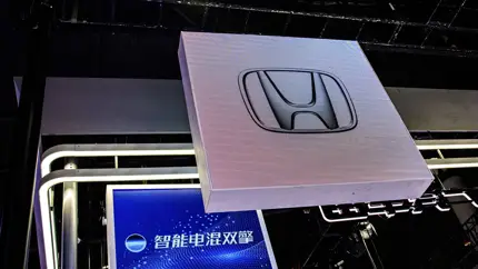 Белый цвет как источник бед: подан коллективный иск против Honda и Acura