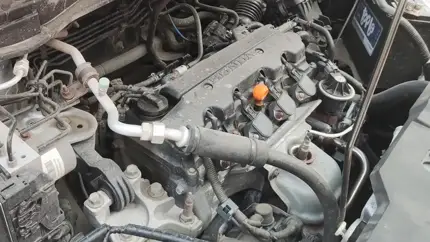 «Живые» авто с пробегом более 250 тыс. км: правда или миф?