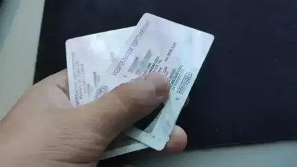 Получить водительские права без подготовки в автошколе: чем это грозит?