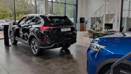 Рынок новых авто в России: китайцы лидируют, премиум растёт, B-класс сдаёт позиции