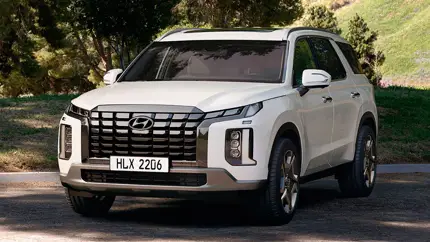 Hyundai срочно остановила продажи нового Palisade после трагедии
