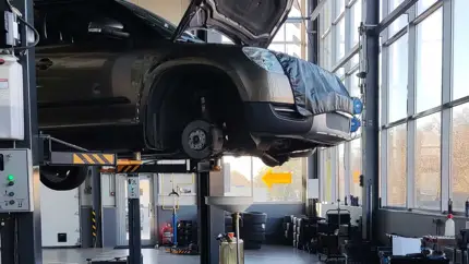 Названы 3 главные проблемы на рынке автомобильных запчастей в России