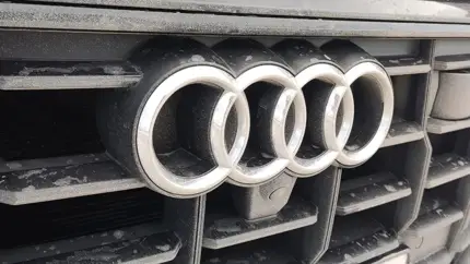 Свалку из старых машин Audi с запчастями продают за 30 млн рублей