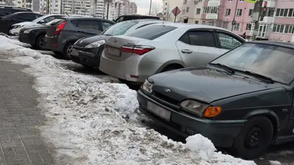 Россияне стали чаще покупать «красивые номера» для автомобилей