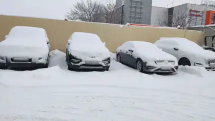 В снежном плену: чем грозит вашему авто долгая зимняя стоянка?