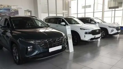 Дилеры отметили низкий спрос на «серые» авто