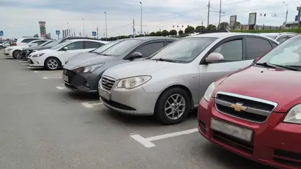 Названы самые популярные по цвету автомобили с пробегом