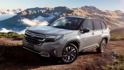 SUV, которые вышли на новый уровень в 2026 году: от стиля до мощности