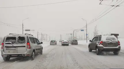 Каких автомобилей больше всего на российских дорогах