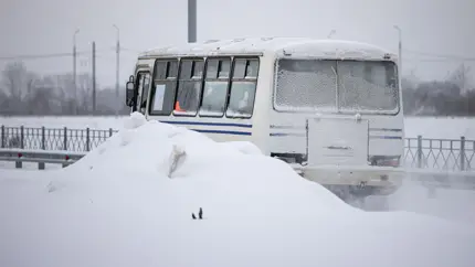 Почему автобус в нынешних условиях – это опасно: названы 3 причины