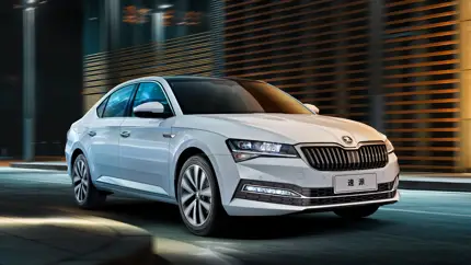 На рынке РФ появился флагман марки Skoda